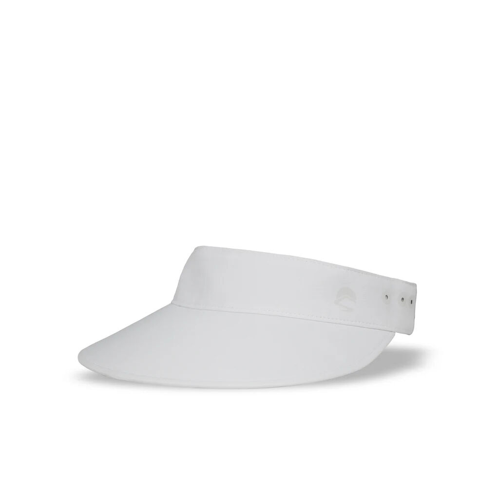  Visor 