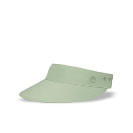  Visor 