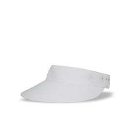  Visor 